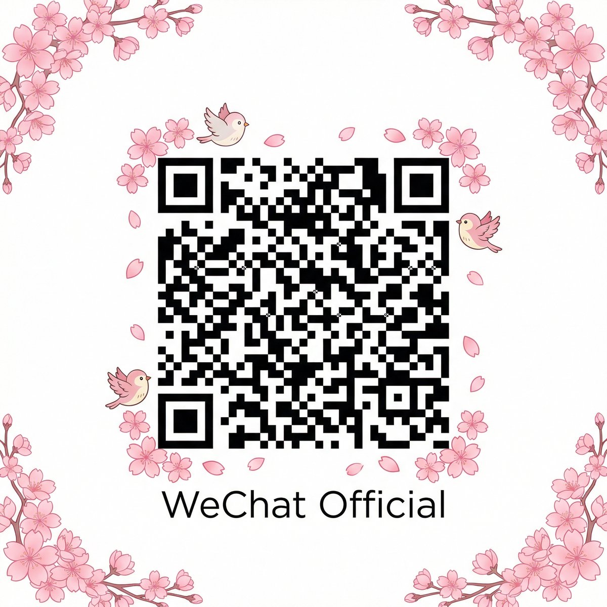 韩国女团公众号二维码